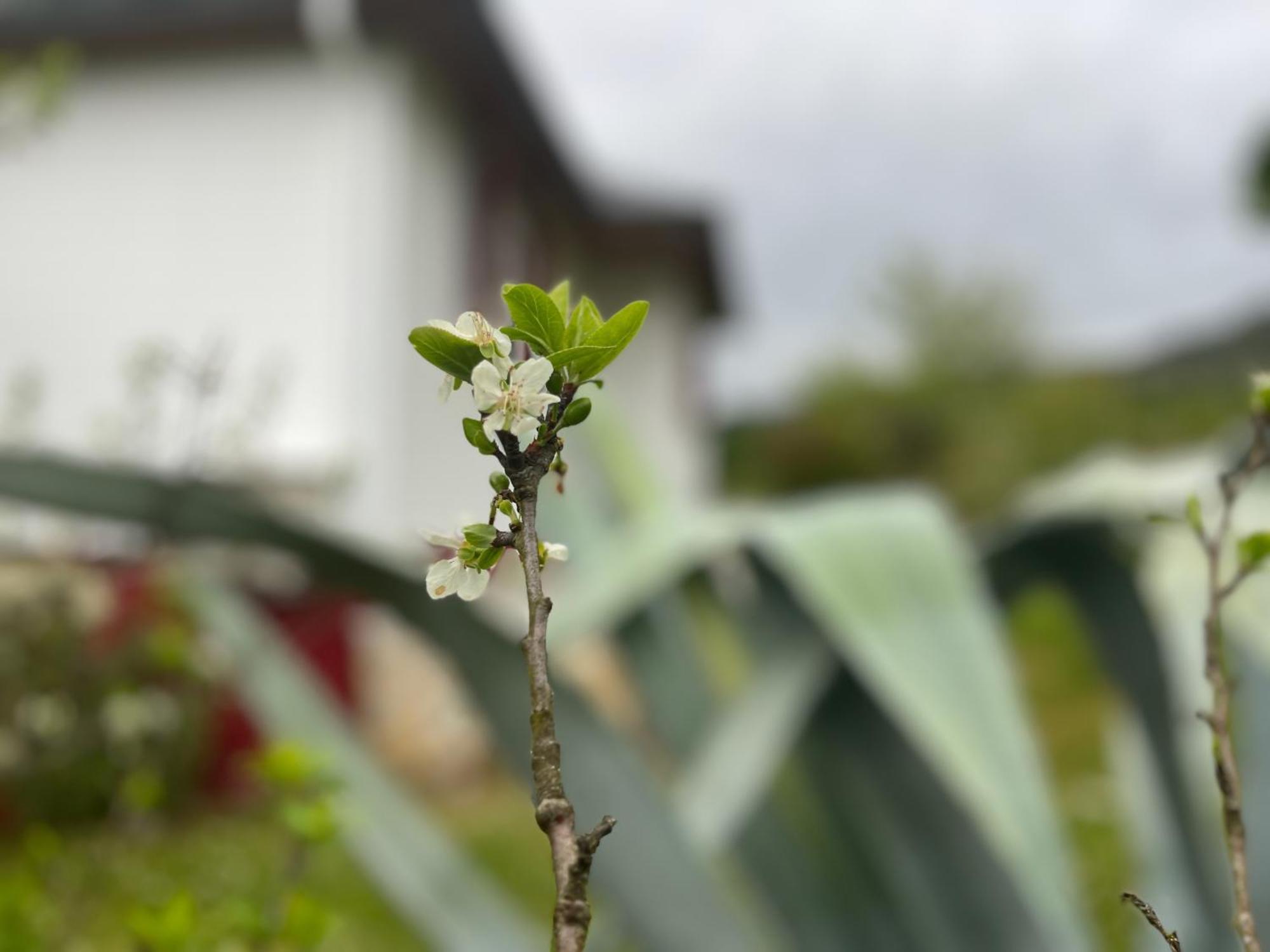 A Casina Casa Rural En Galicia Ourense Dış mekan fotoğraf